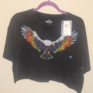 NWT loose fit Hollister Crop Top Rainbow Eagle 🌈 LGBT Pride women's medium